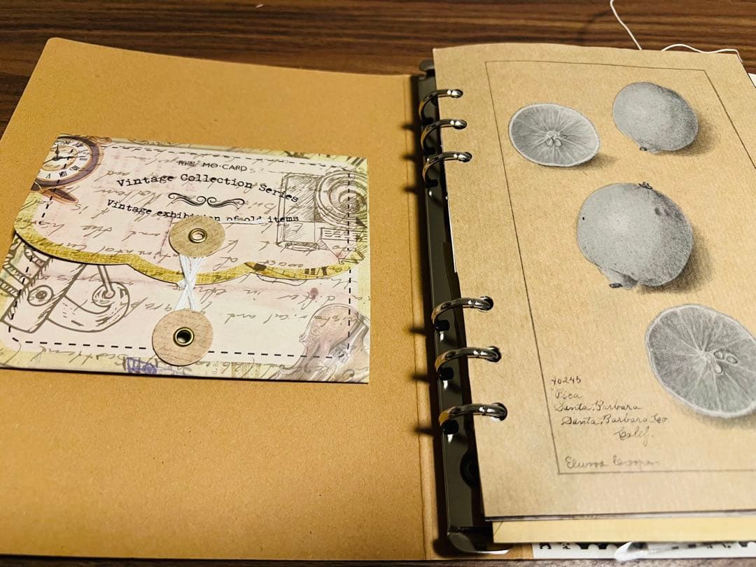 おすそ分けファイル✳︎ジャンクジャーナル風