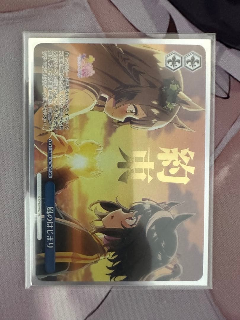 ヴァイスシュヴァルツ 風のはじまりOFR