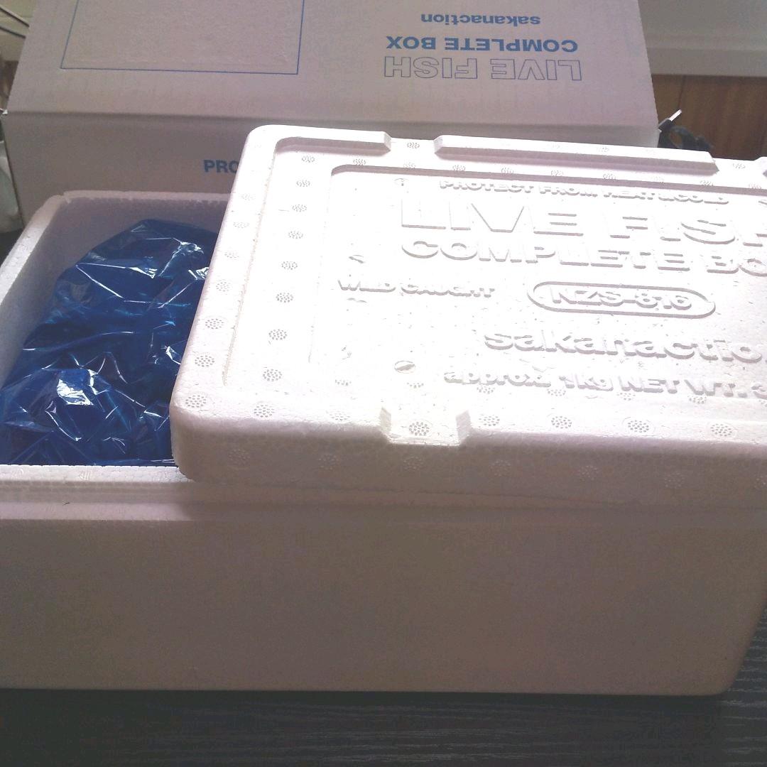 LIVE FISH サカナクション daiyama20さま