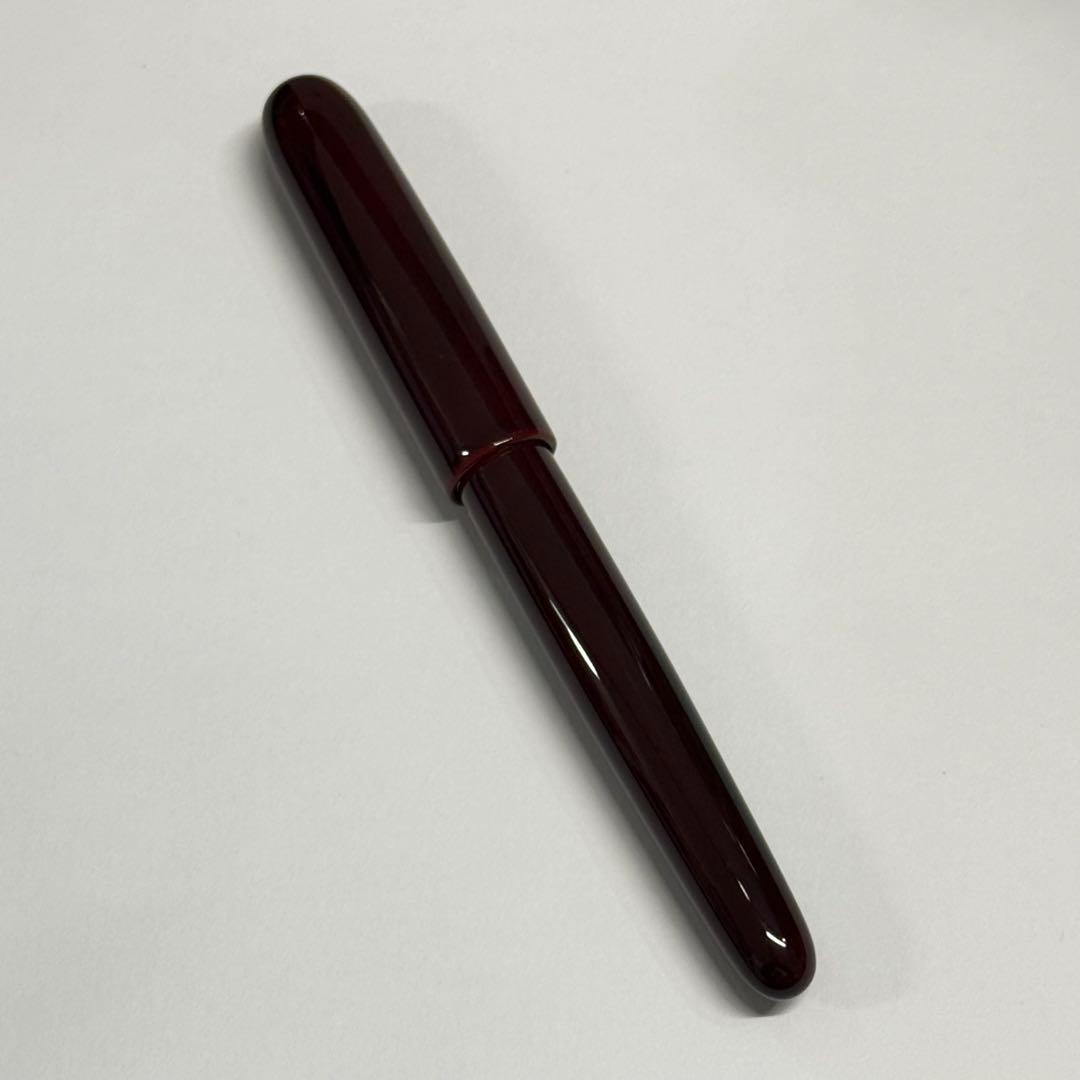 SAILOR セーラー 伝統漆芸 麗 石川 創作加賀塗 万年筆 中字