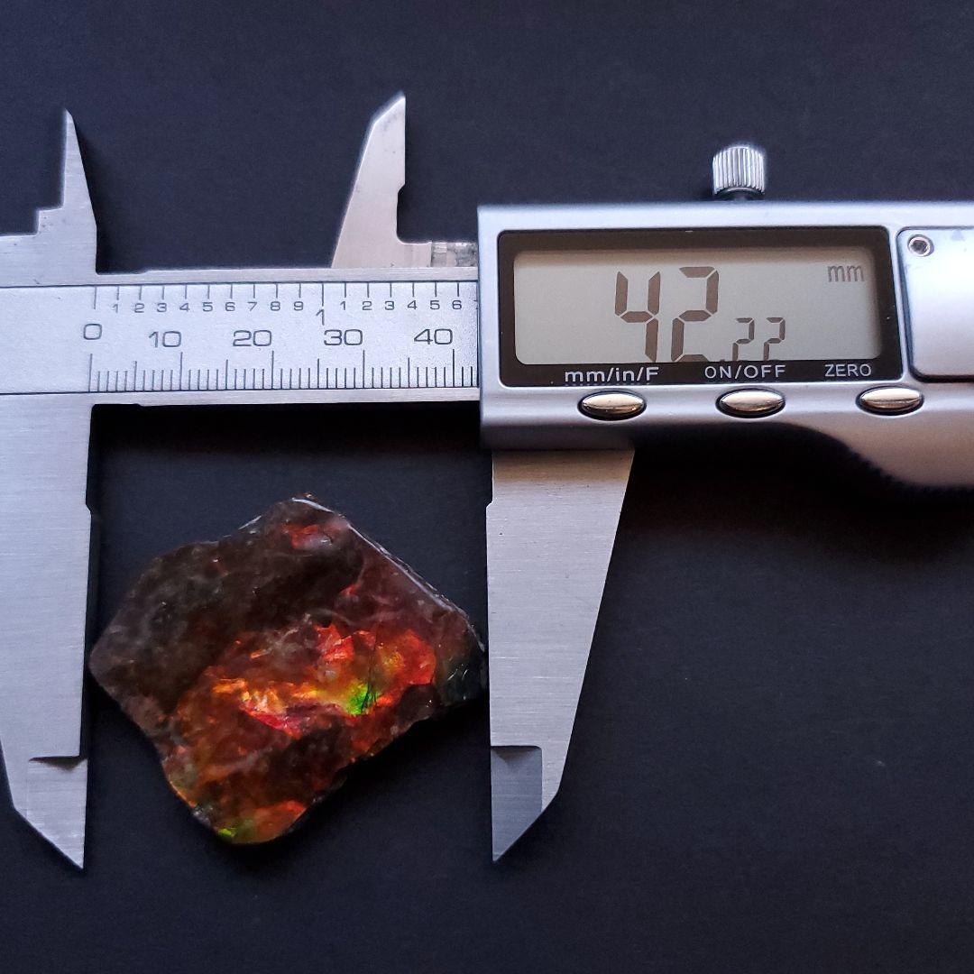 遊色 アンモライト 化石 本物 カナダ産 42.22mm anr7