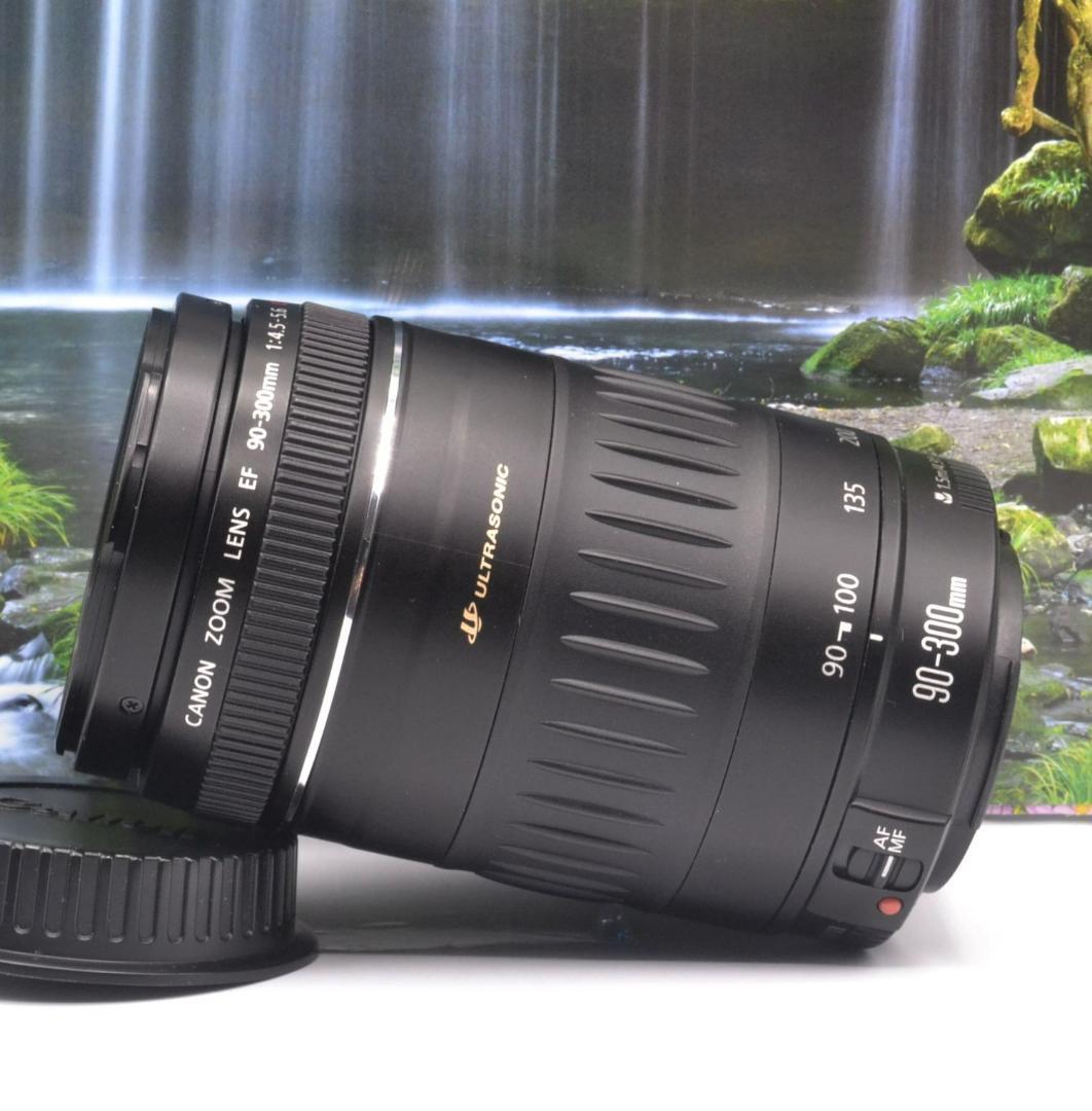 大切な今を望遠で！ 迫力望遠レンズ キヤノン EF90-300mm Canon