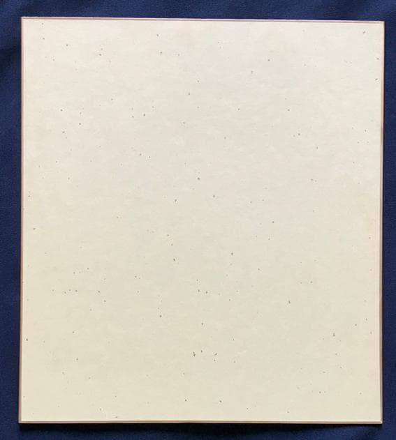 ★ZARD 坂井泉水さん　 歌手デビュー前「直筆寄せ書き　色紙」