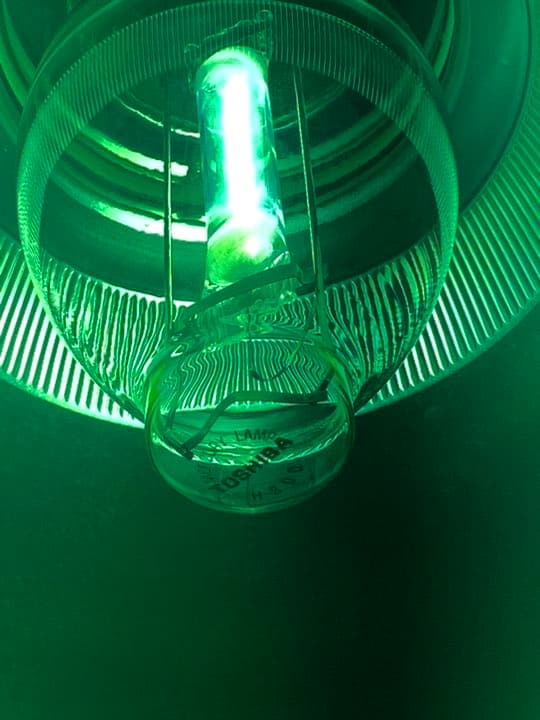 ①300Wライトトラップセット 灯火採集 水銀灯 安定器 狭角100V 50Hz