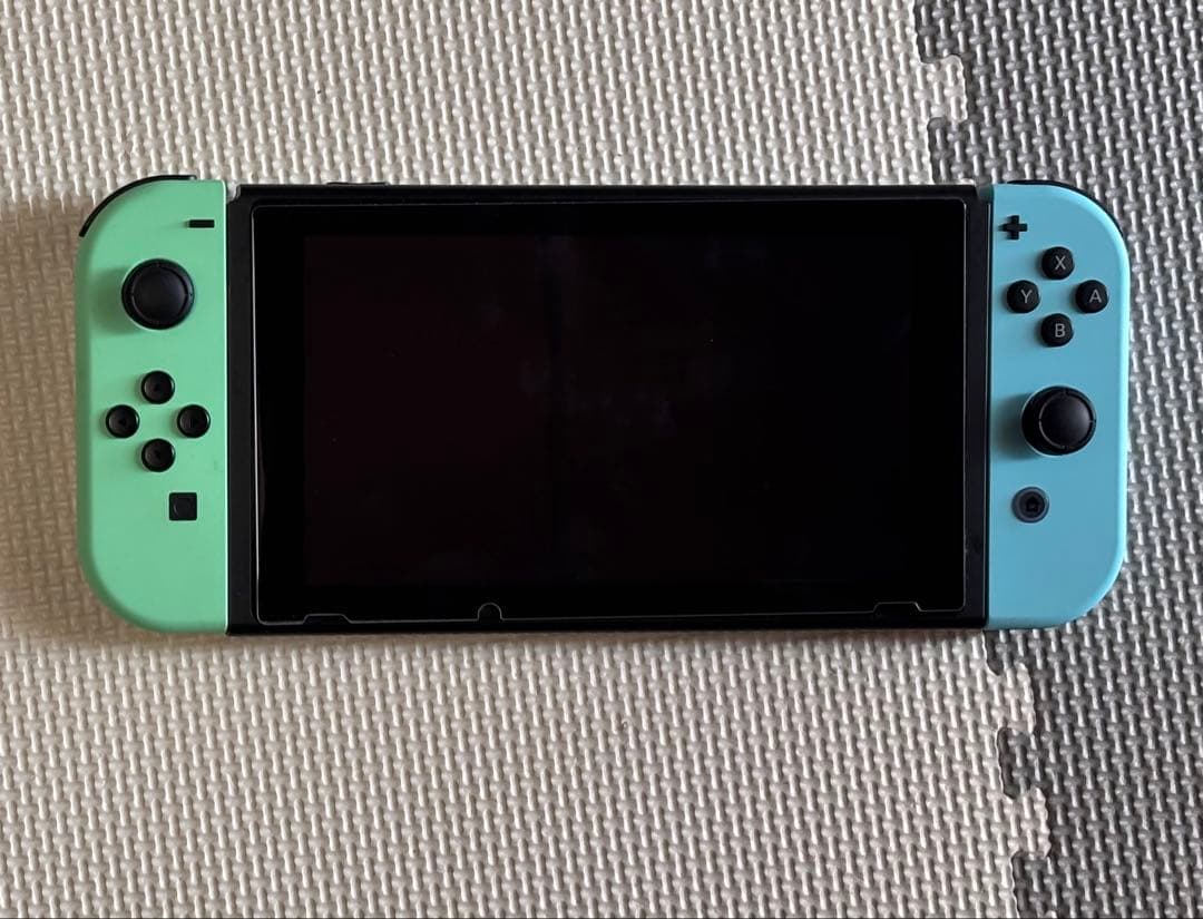 も*4様 Nintendo Switch 本体 あつまれ　どうぶつの森　セット
