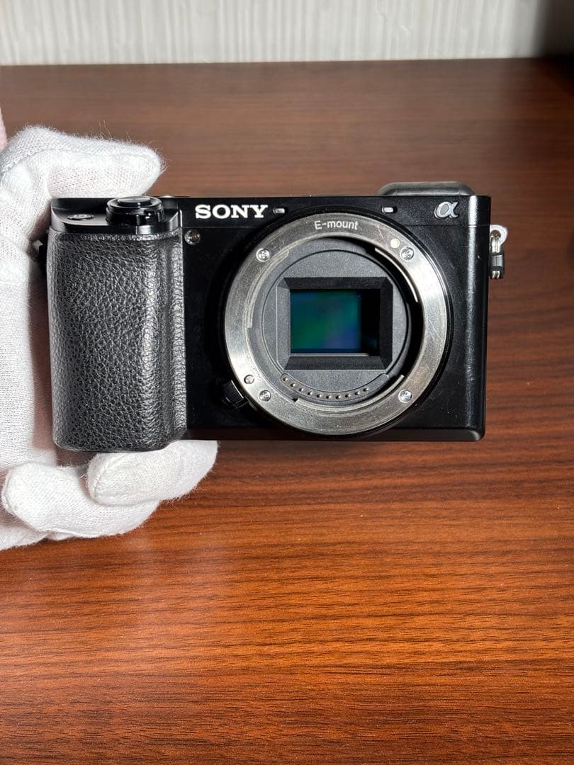 おまけ付】SONY α6100 標準ズームレンズセット SDカード充電器セット