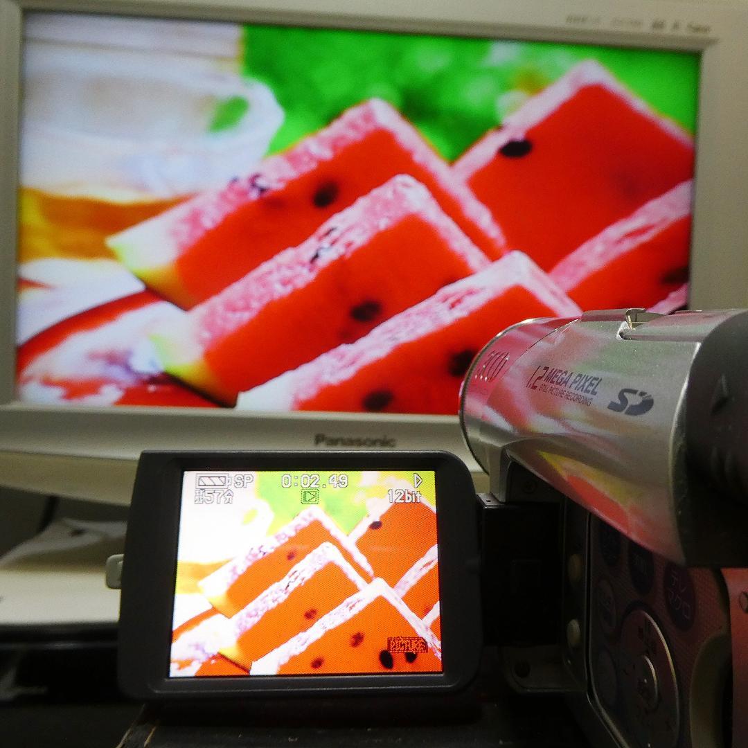 動作良好 パナソニックNV-GS120 MiniDVビデオ　DVDダビングに最適