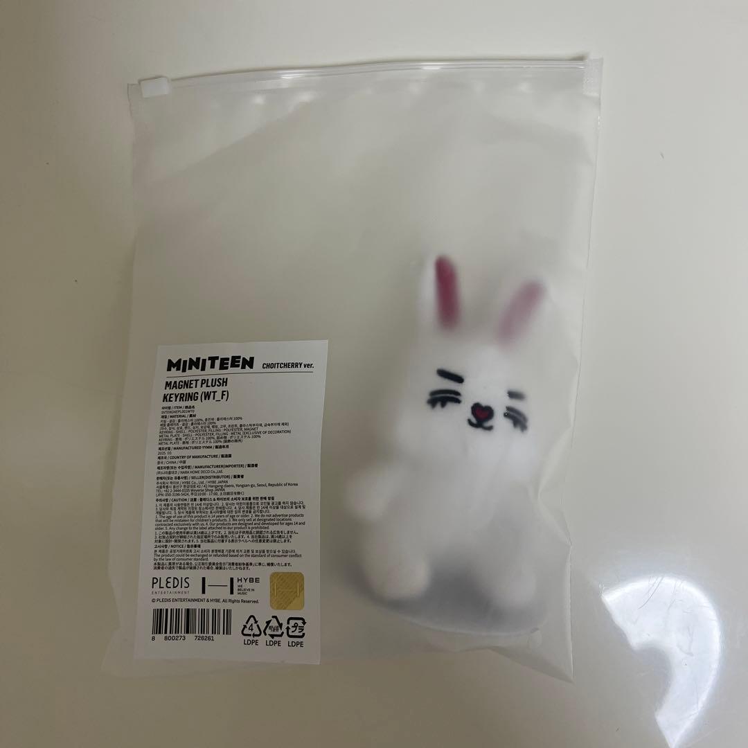 SEVENTEEN セブチ MINITEEN ミニティーン エスクプス SEVENTEEN セブチ