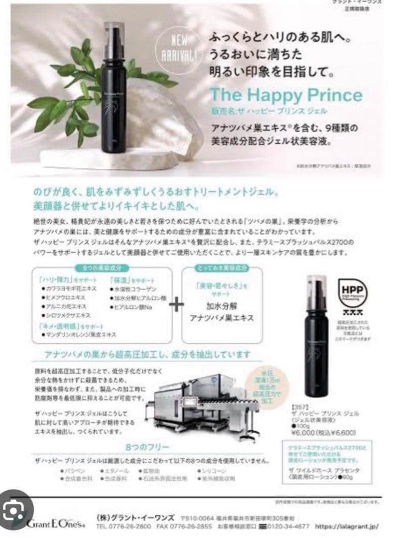 Grant E Onis 美顔器 テラミースプラッシュパルス2700