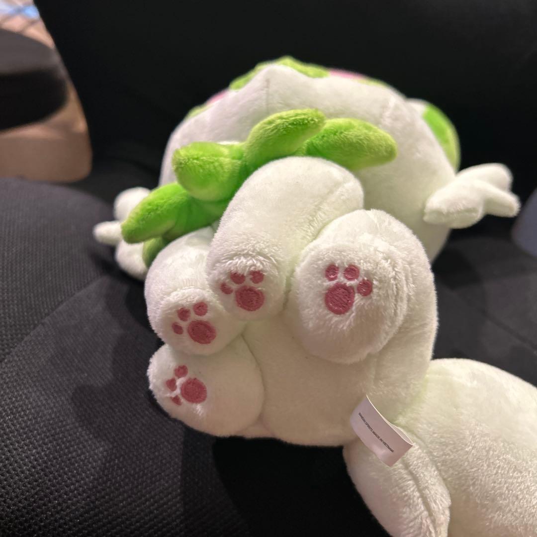 一番くじ Pokémon Blooming Days ニャオハ