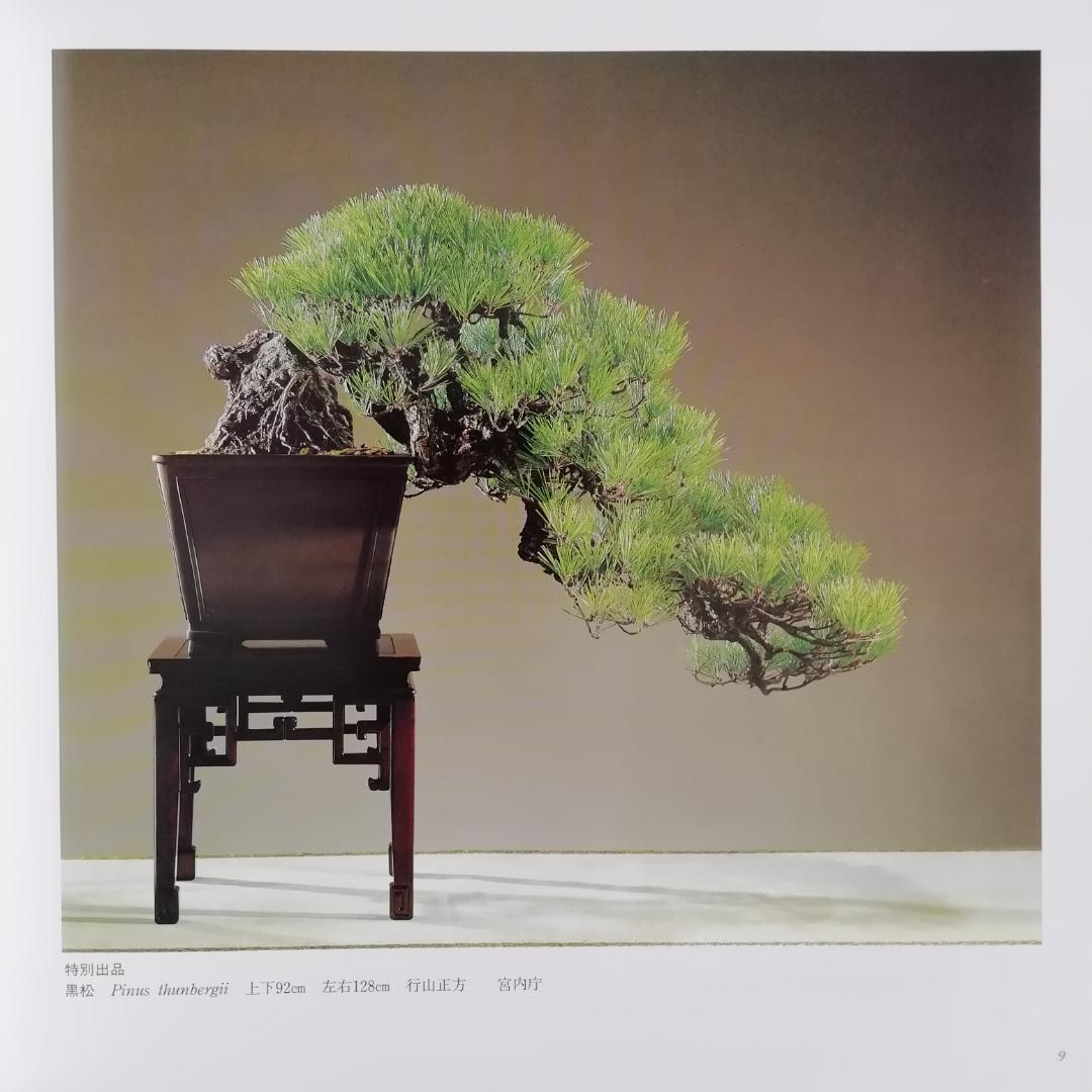 ✨国風盆栽展✨第65～73回✨9冊 写真集