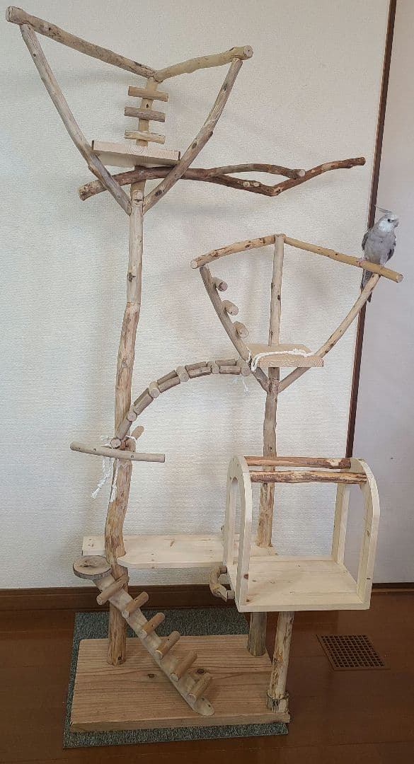 天然流木 No.4 バードアスレチック ① ぽこなつページ バード