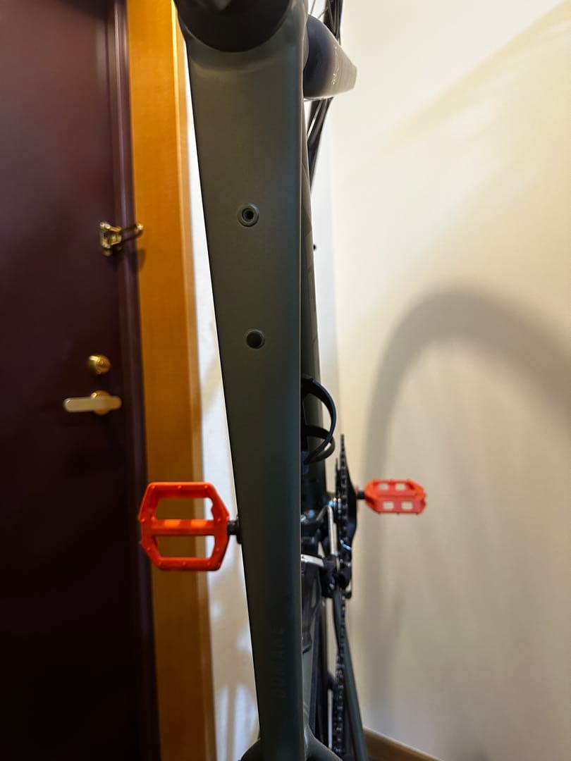 【エコノム】TREK Domane AL 5 Gen 4 サイズ49