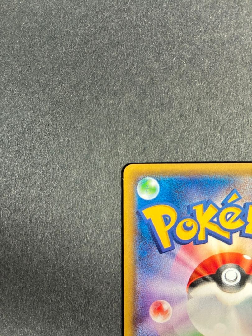 ポンチョを着たピカチュウ みく@ぷろふ確認お願いします専用