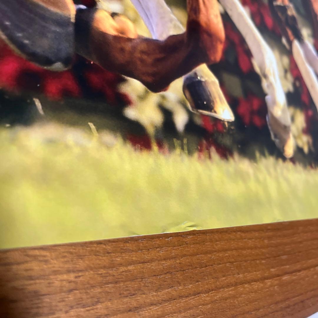 ジェンティルドンナ　オルフェーヴル　2012年ジャパンカップ　A1ポスター　競馬