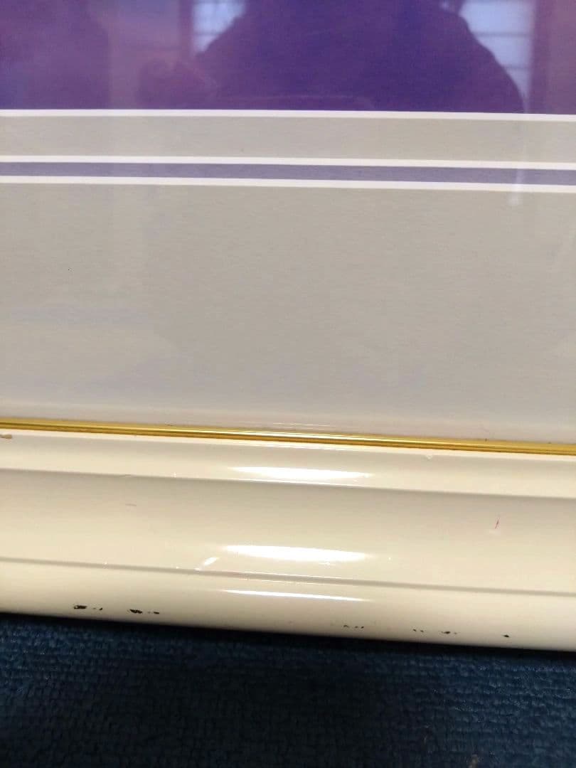 カーク・レイナート　スナグルバニーズ