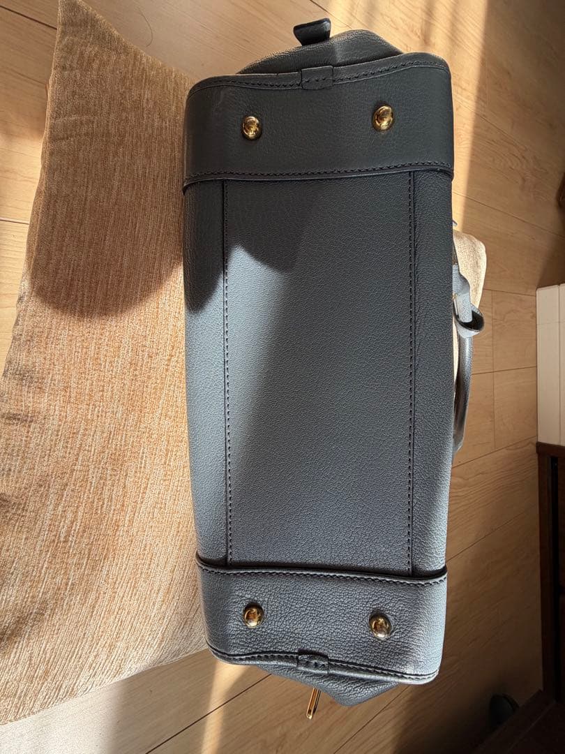 正規品LOEWE　ハンドバッグ　アマソナ