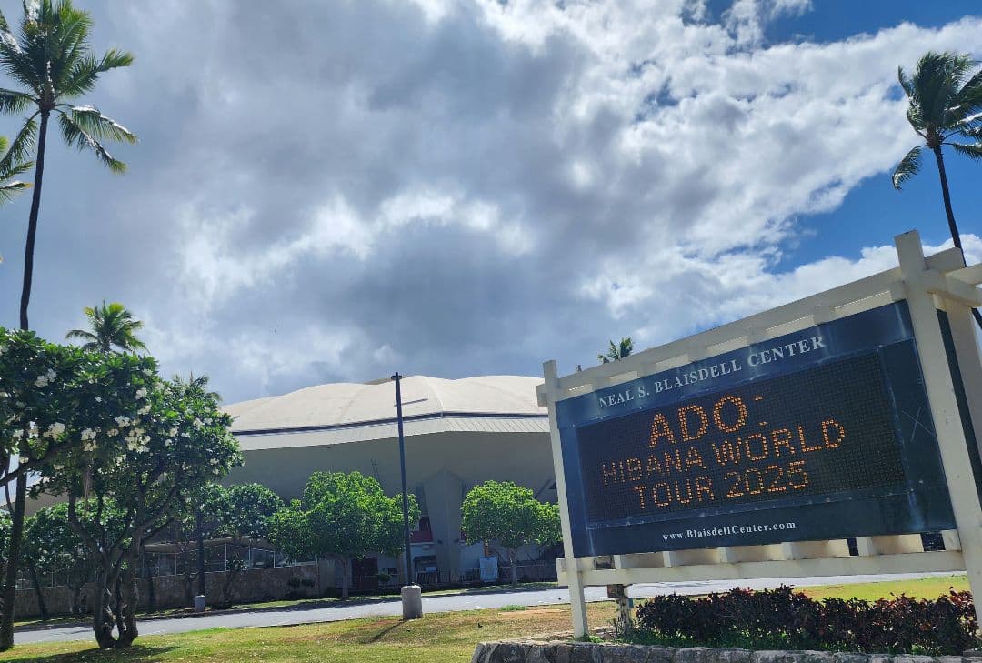 Ado WORLD TOUR 2025 Hibana ピンバッジ 最終日最前列