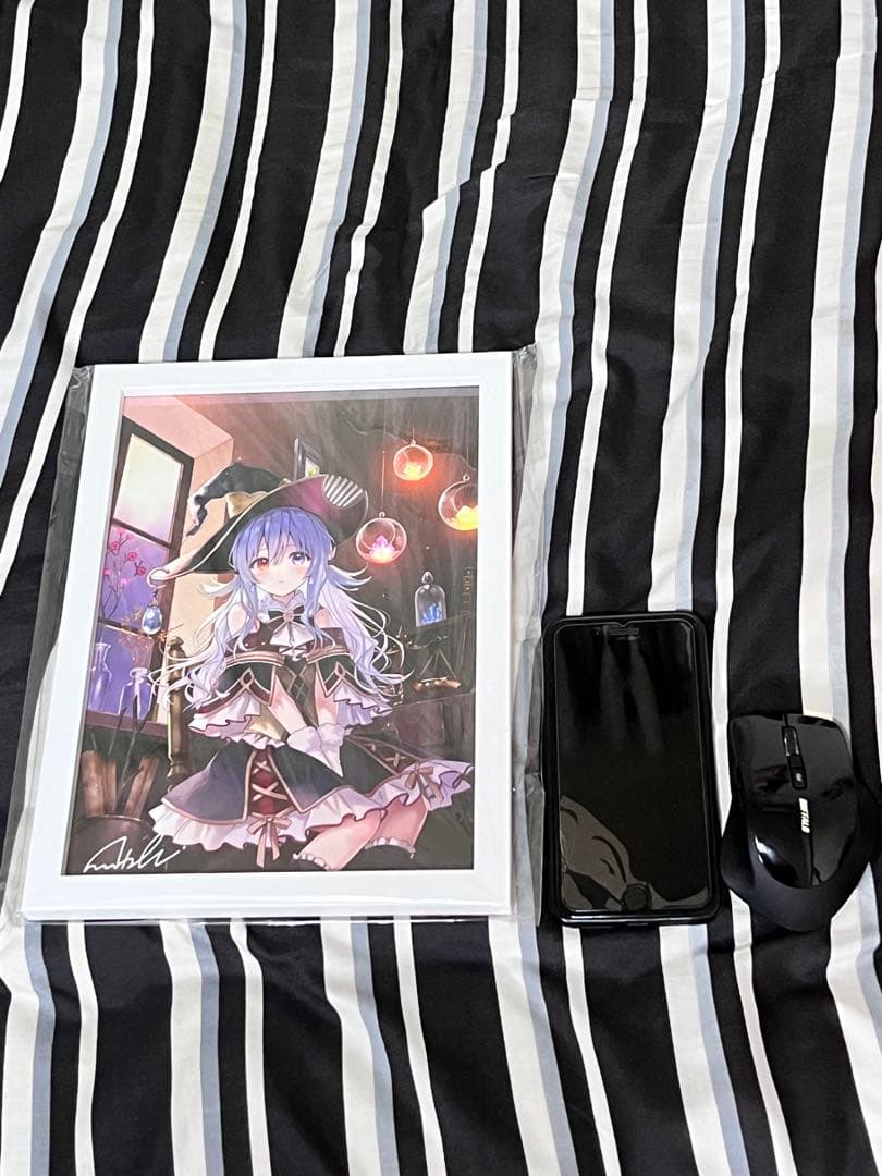 フカヒレ先生サイン入りミニアートグラフ