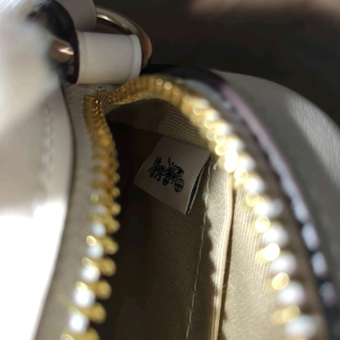 【極美品】COACH イチゴ柄 CBA80 ミニ ジェイミーショルダーバッグ