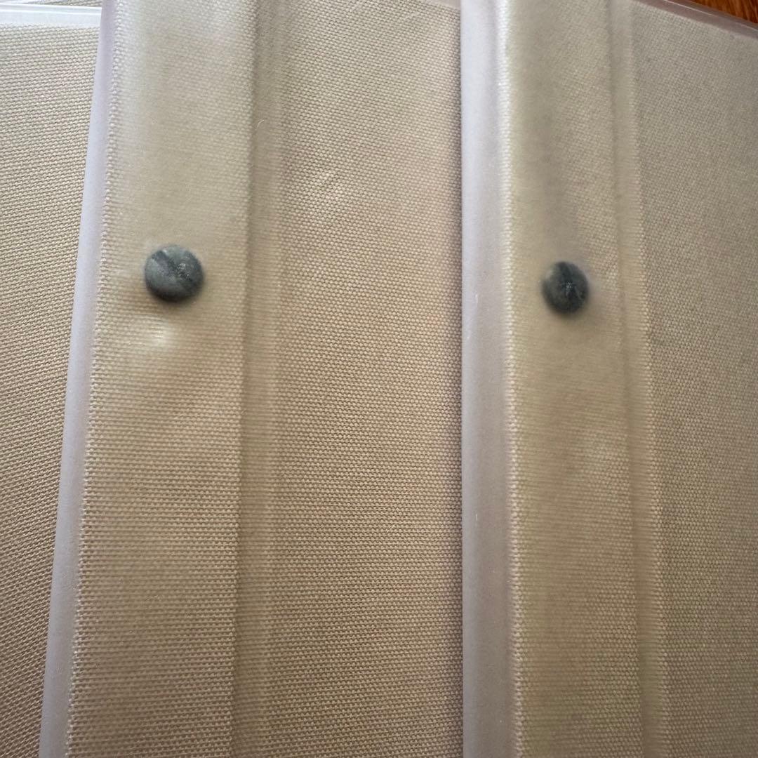 ALBUSBOOK 〈廃盤色 サンド〉