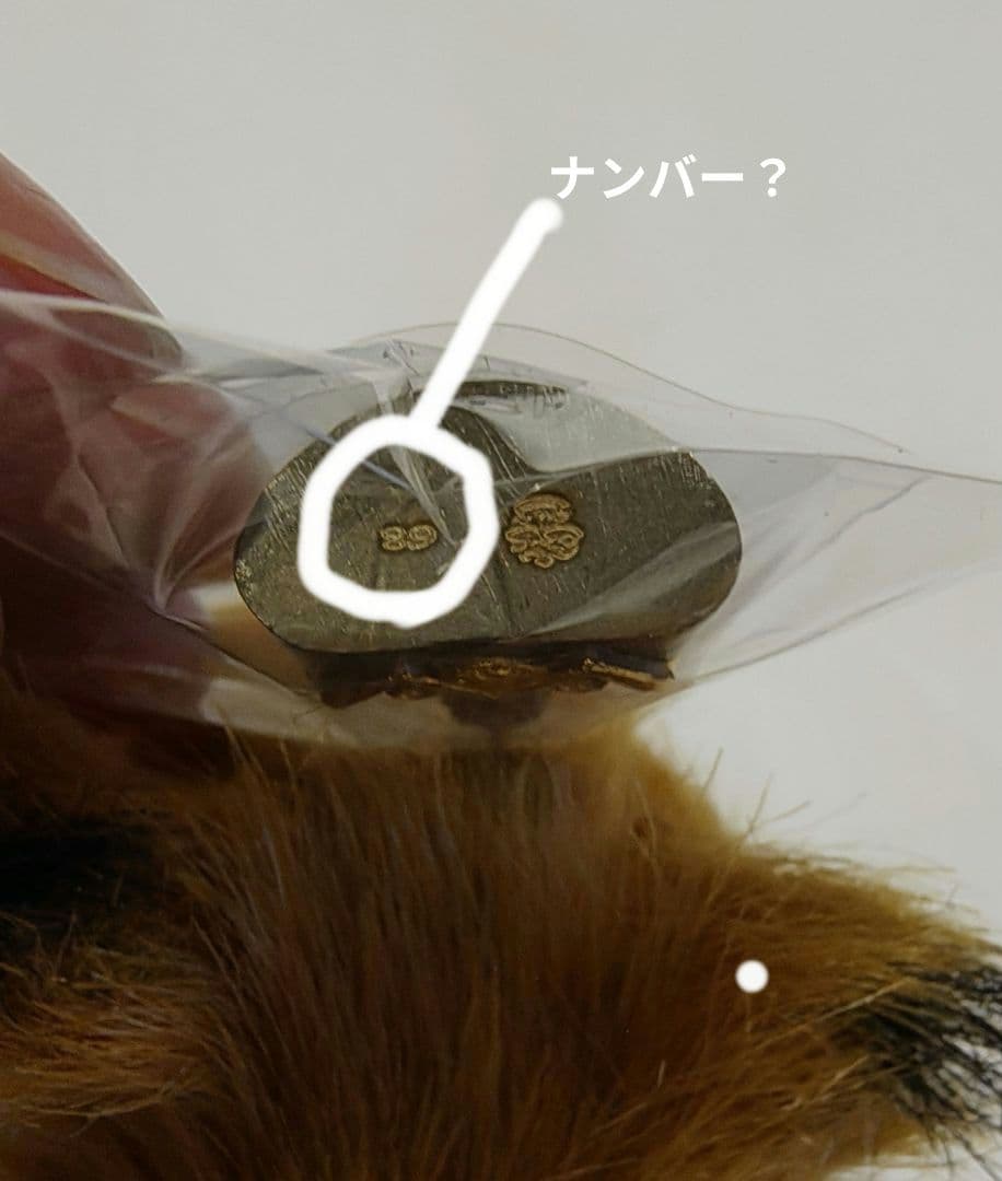 激レア！！】タイのお守りプラクルアン！神秘のタ・ロウ！幸運&守護！！