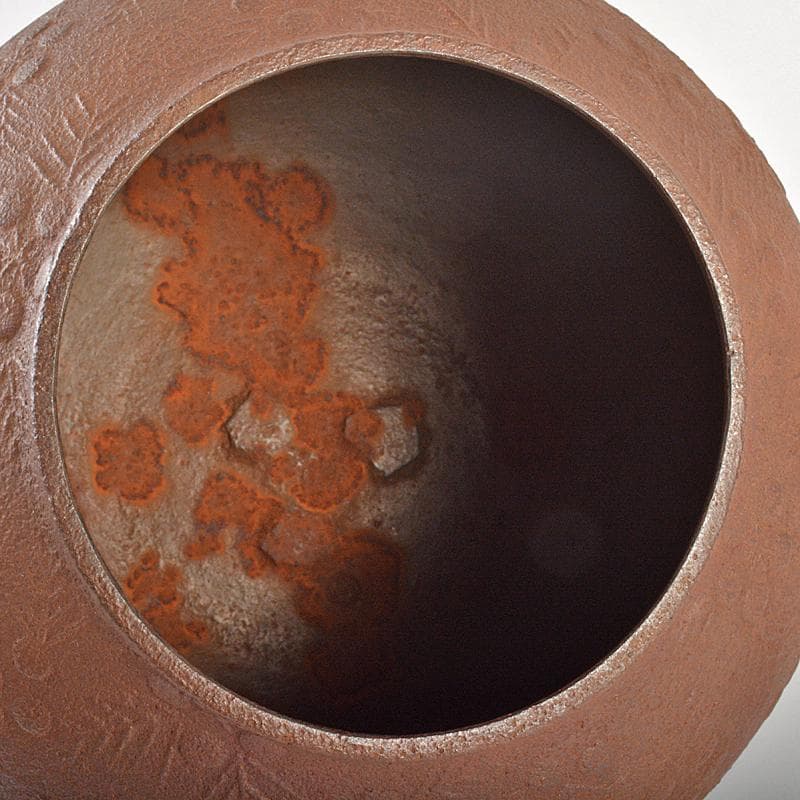 茶道具　嘉山工房　横倉嘉山作　銀摘　山吹文真形釜　替蓋付　共箱　M　R6727B