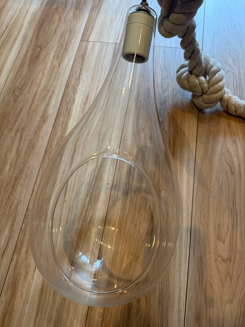 SWAN スワン電器 ボタニックハンギングライト(L)電球無 ハンギング 鉢