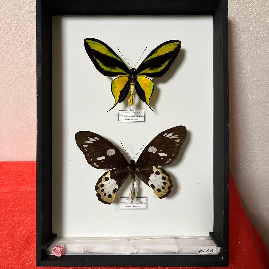 マンハッタンニューヨークファブリックパネルキャンパスアート70cm×50cm