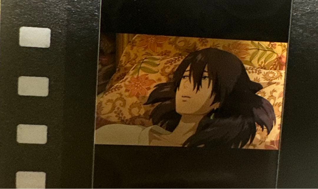 三鷹の森ジブリ美術館 入場券 ハウルの動く城 ハウル 黒髪