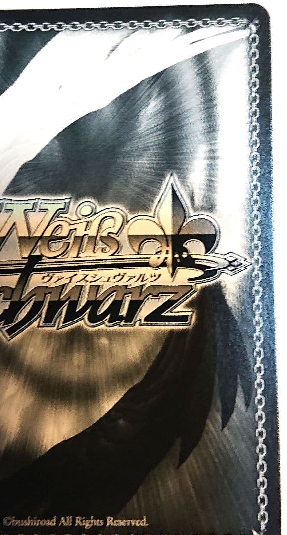 ジョジョの奇妙な冒険 ヴァイス 希望の星 承太郎 スタープラチナ SP サイン