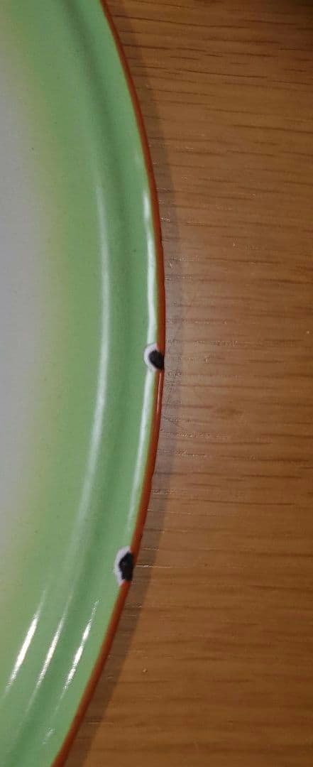 飛翔する鳥のホーロー皿