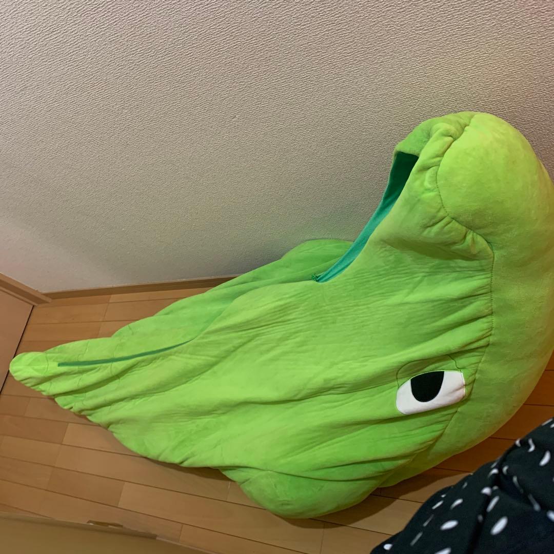 絶対に出たくないトランセル　寝袋　ポケモン