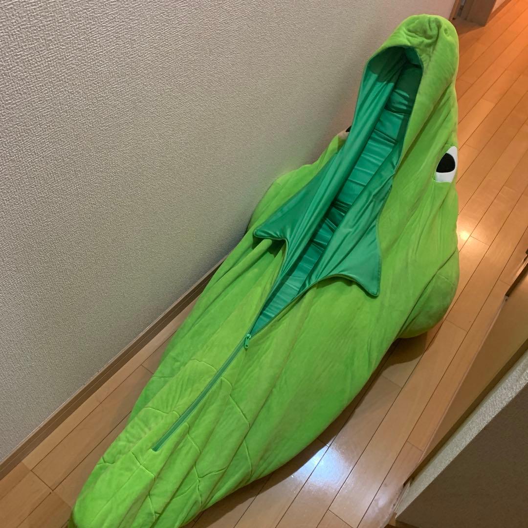 絶対に出たくないトランセル　寝袋　ポケモン