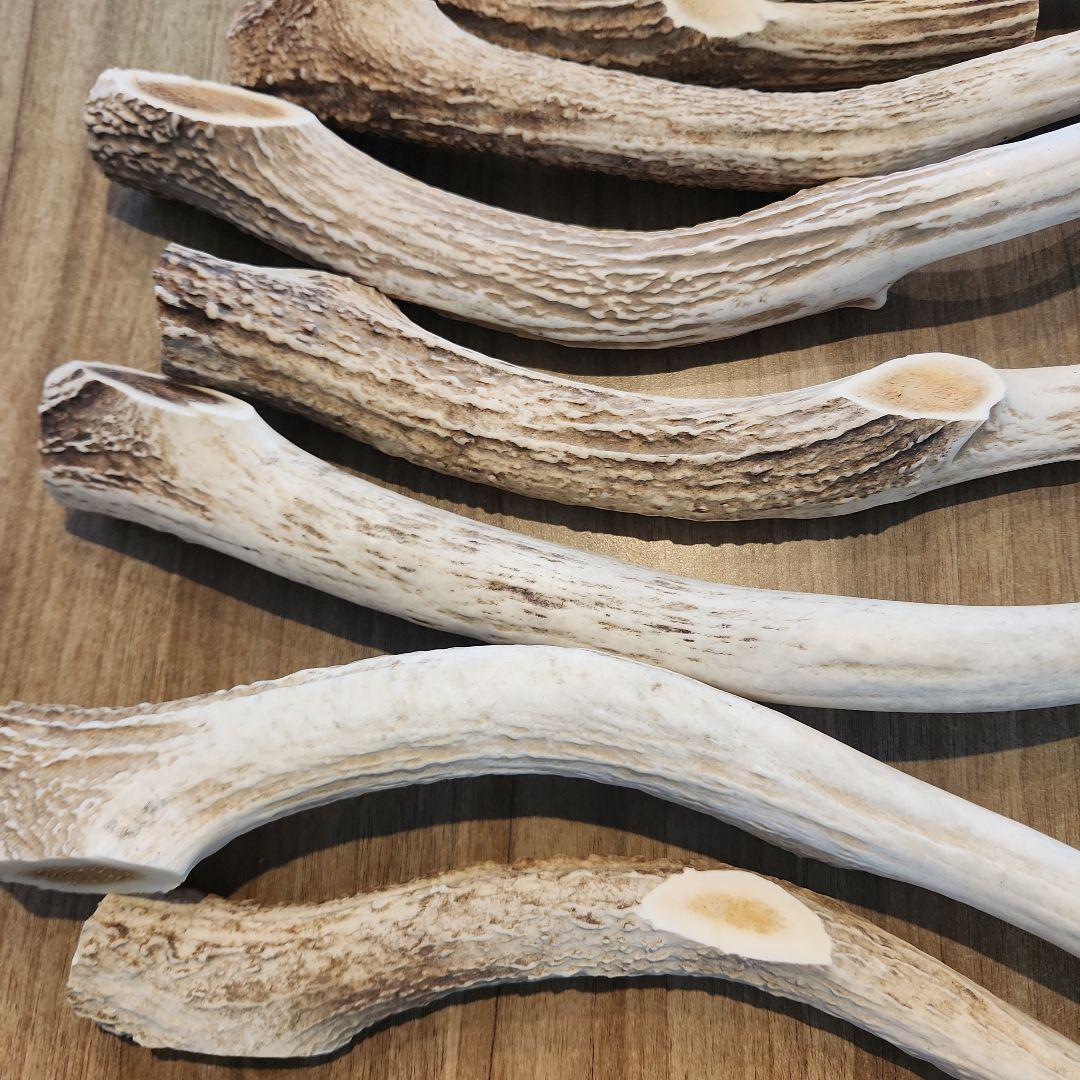 ぶち様専用 鹿の角 (特大～大サイズ)犬用おもちゃ ランダム 2kg 8本