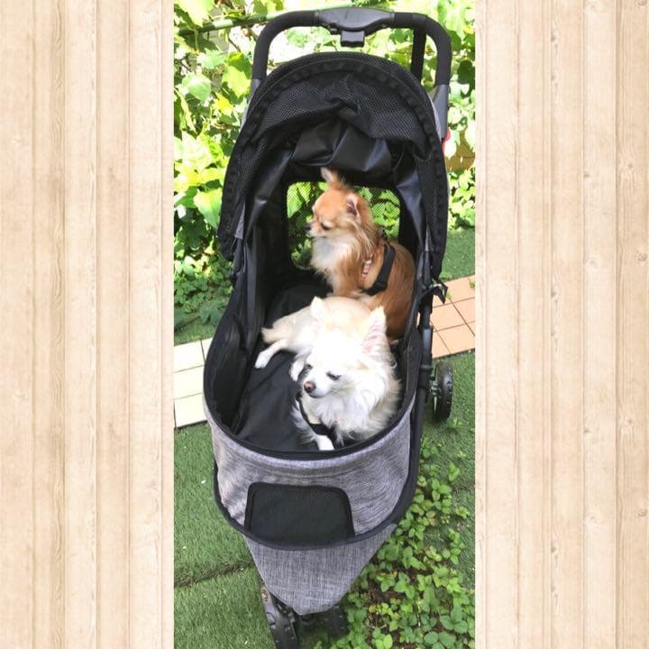 ❤耐荷重20kgで超高耐久性❣多頭飼いにも超便利