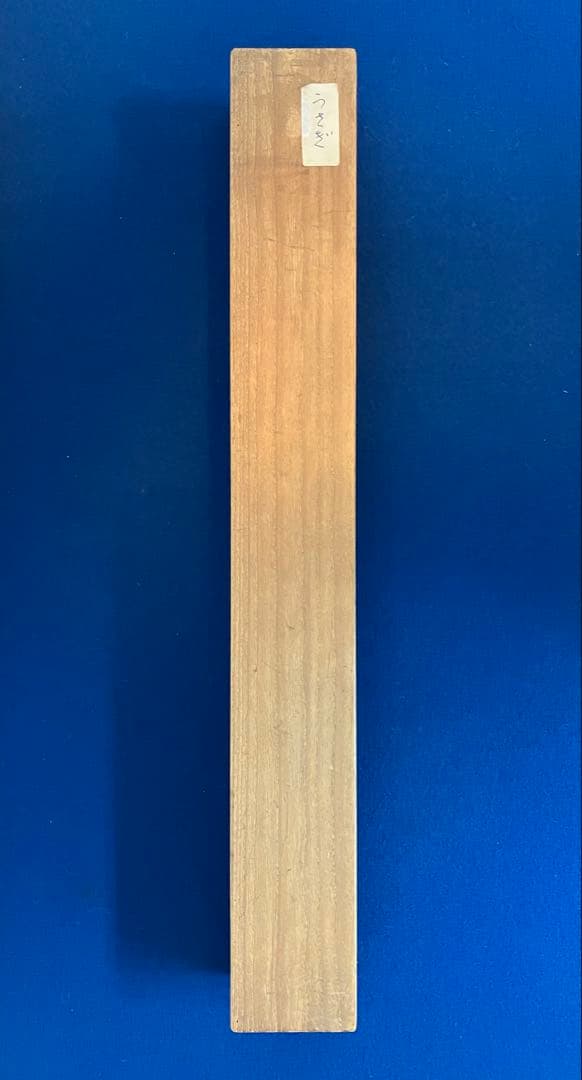 尾竹越堂【うさぎ】絹本 掛軸（尾竹竹坡）（尾竹国観） - メルカリ