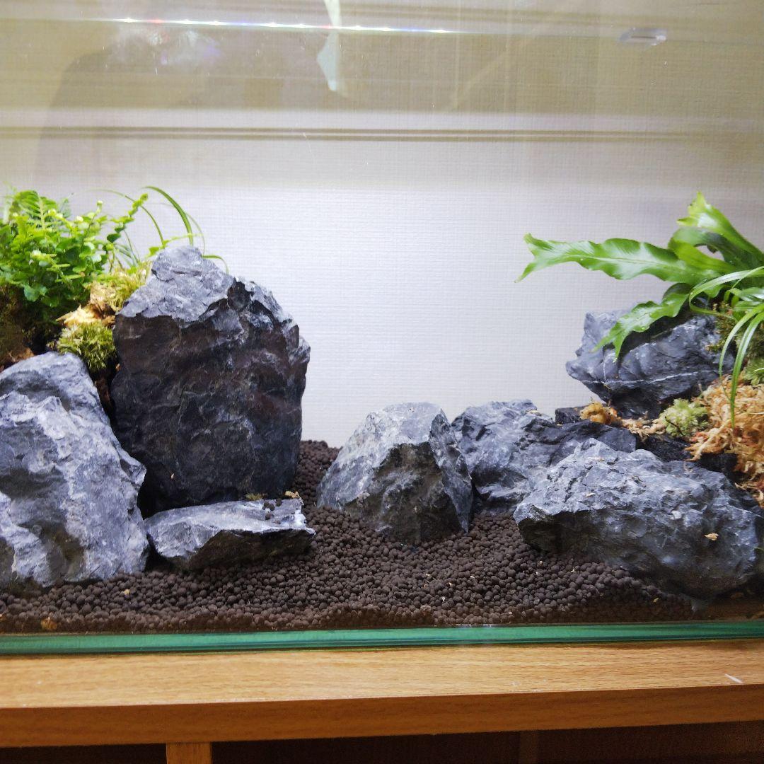 オーダーメイド】滝のあるアクアテラリウム 苔テラリウム アクアリウム