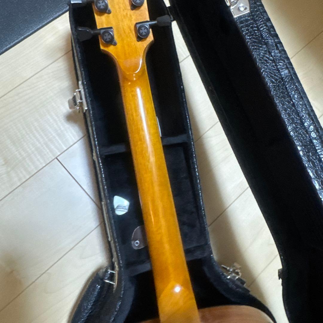 LFG アコースティックギター ケース ピック付き