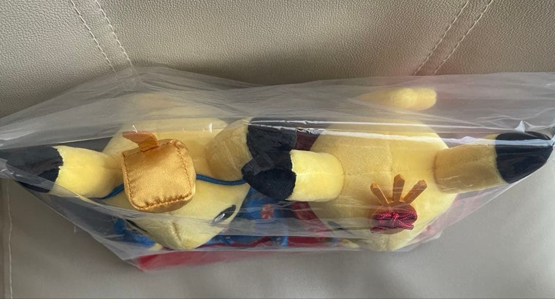 ポケモン　マンスリーペアピカチュウ3月