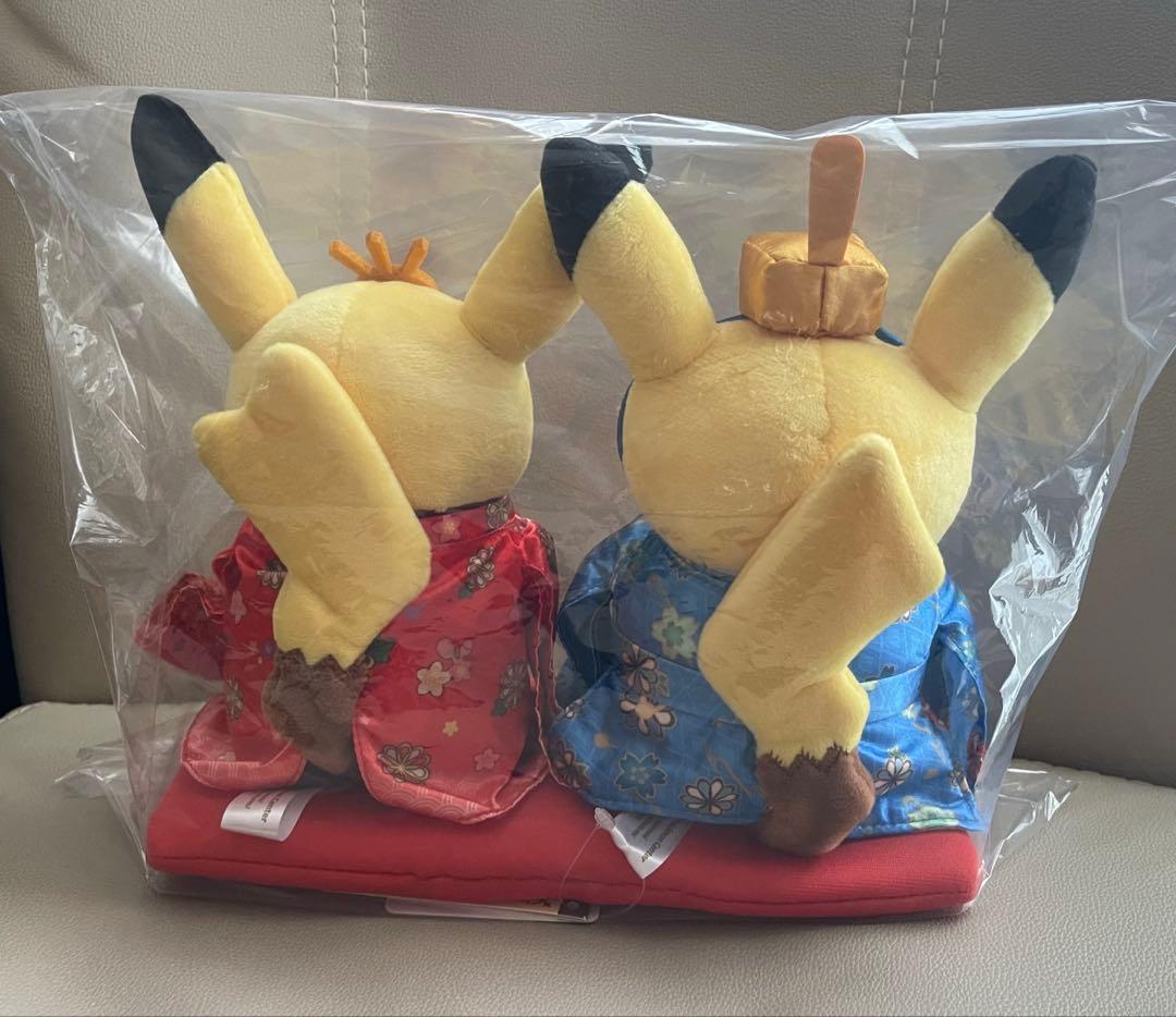 ポケモン　マンスリーペアピカチュウ3月