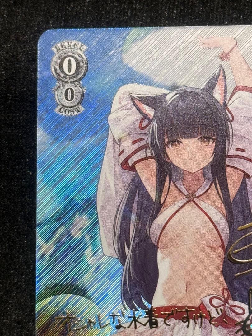 【マグネットローダー付き】夕暮　sp