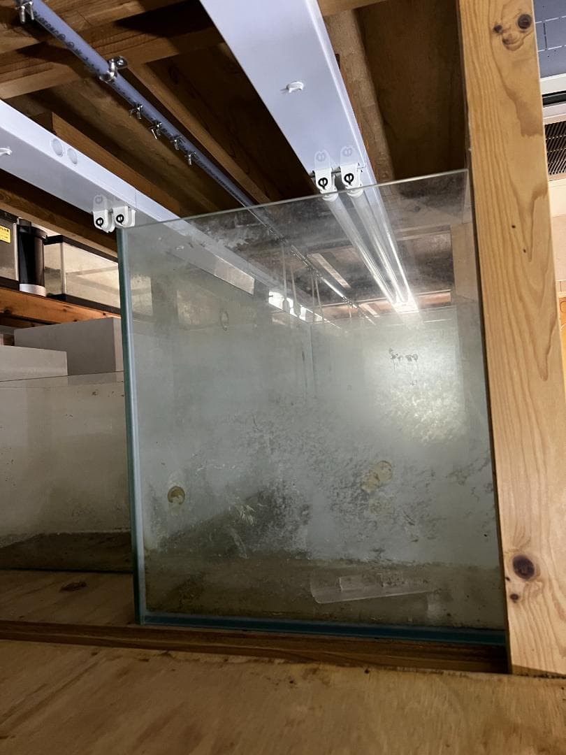 大きめ ガラス水槽 使用済品 中古 汚れあり 引き取り限定 埼玉 四角 四角い