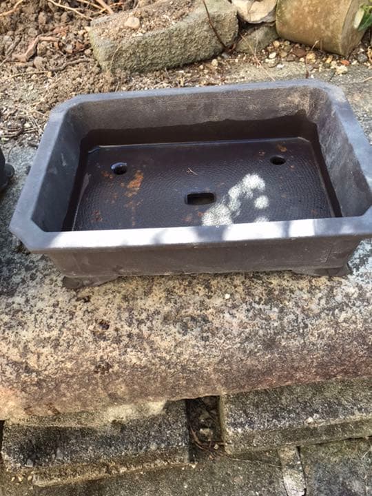 盆栽鉢　時代隅切り雲足長方鉢29.5x22x8盆栽鉢山野草サボテン寄せ植え植木鉢