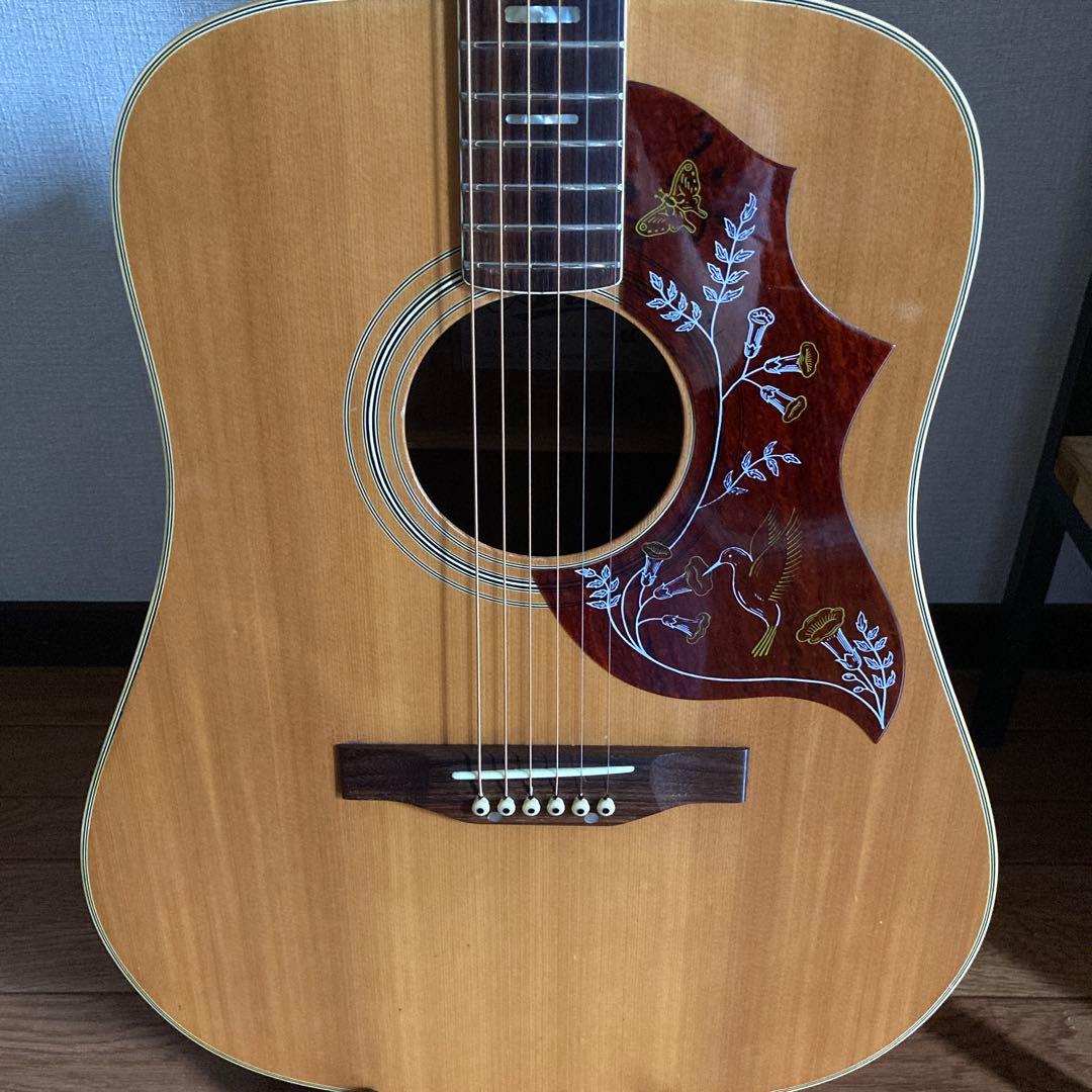 ま*ゆ様 【訳あり】Aria WH25N ハミングバード アリア ソフトケース付