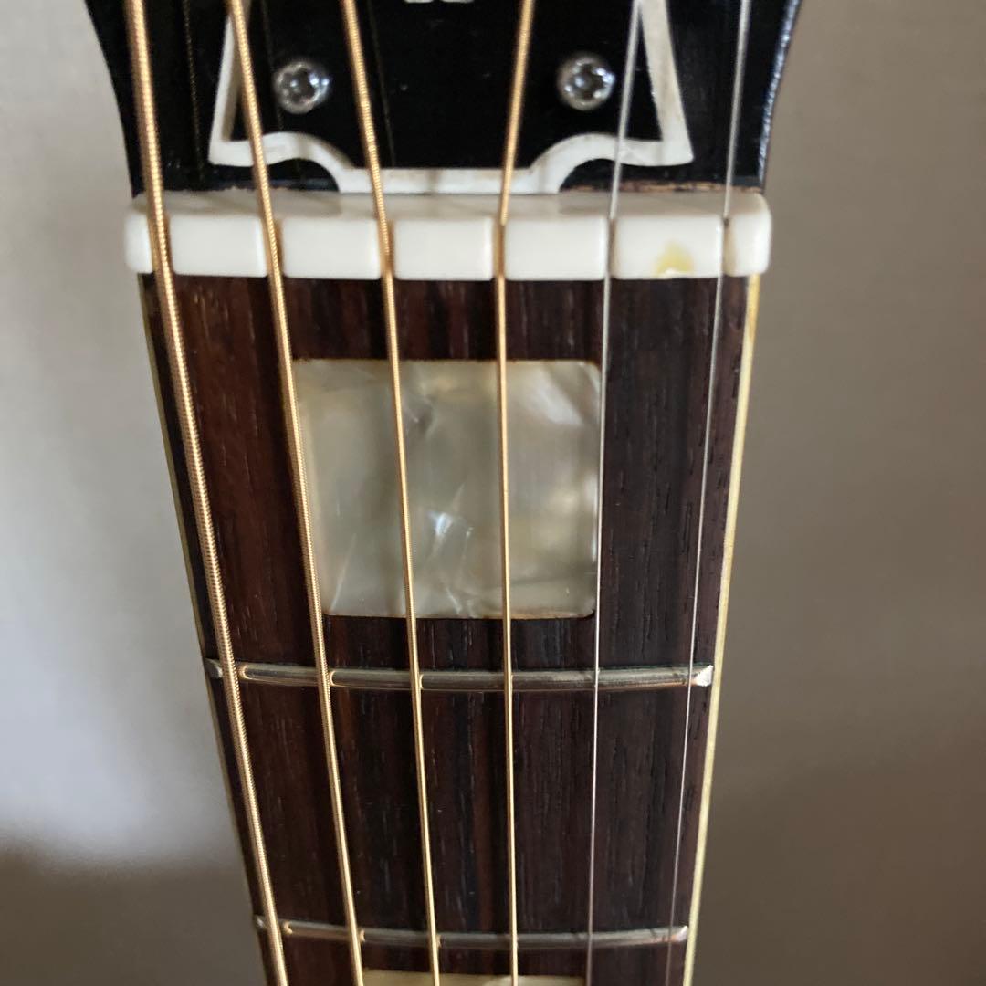 ま*ゆ様 【訳あり】Aria WH25N ハミングバード アリア ソフトケース付