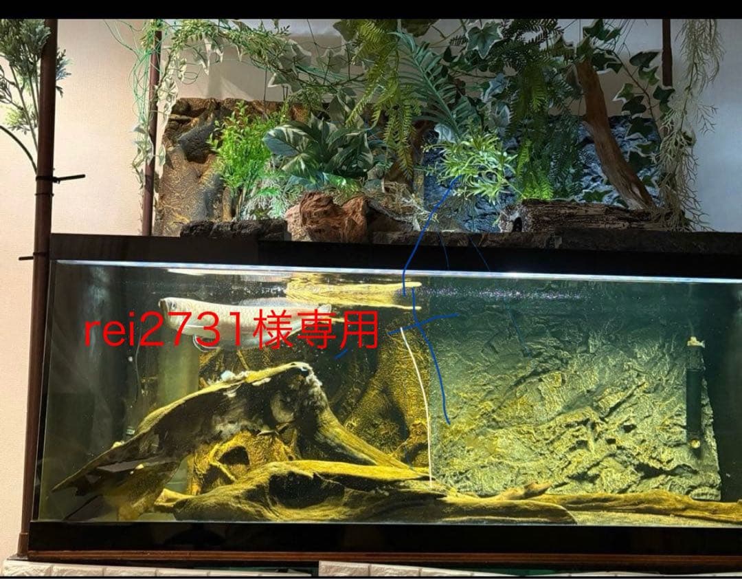 オーバーフロー濾過水セット(アクリル・120cm) LED照明付(直接受渡歓迎)