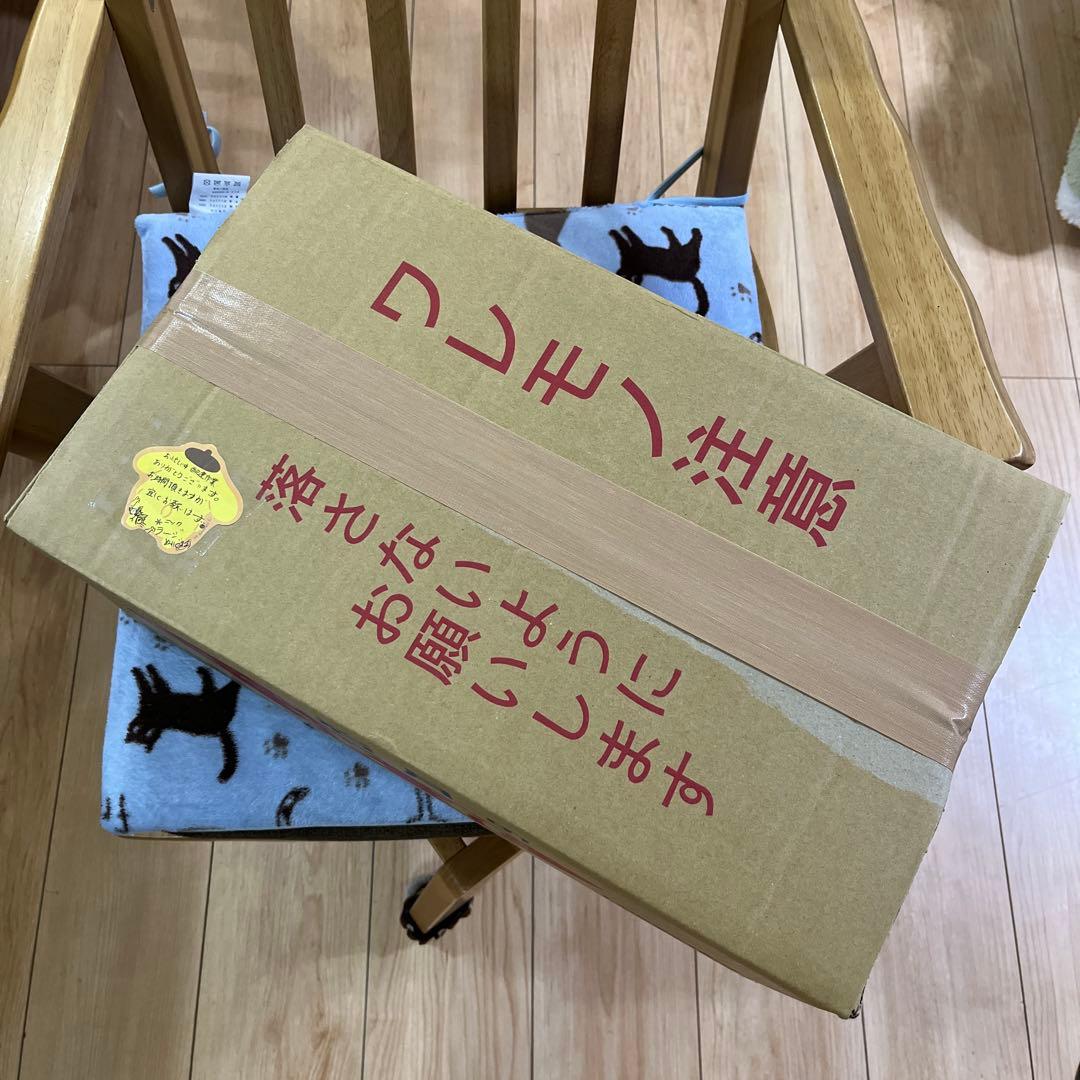 ズートピア2 ニック・ワイルド スーパーラージぬいぐるみ