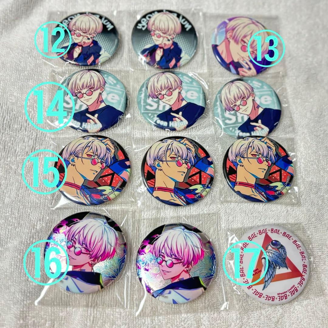 パラライ 燕夏準 セット(バラ売り可)