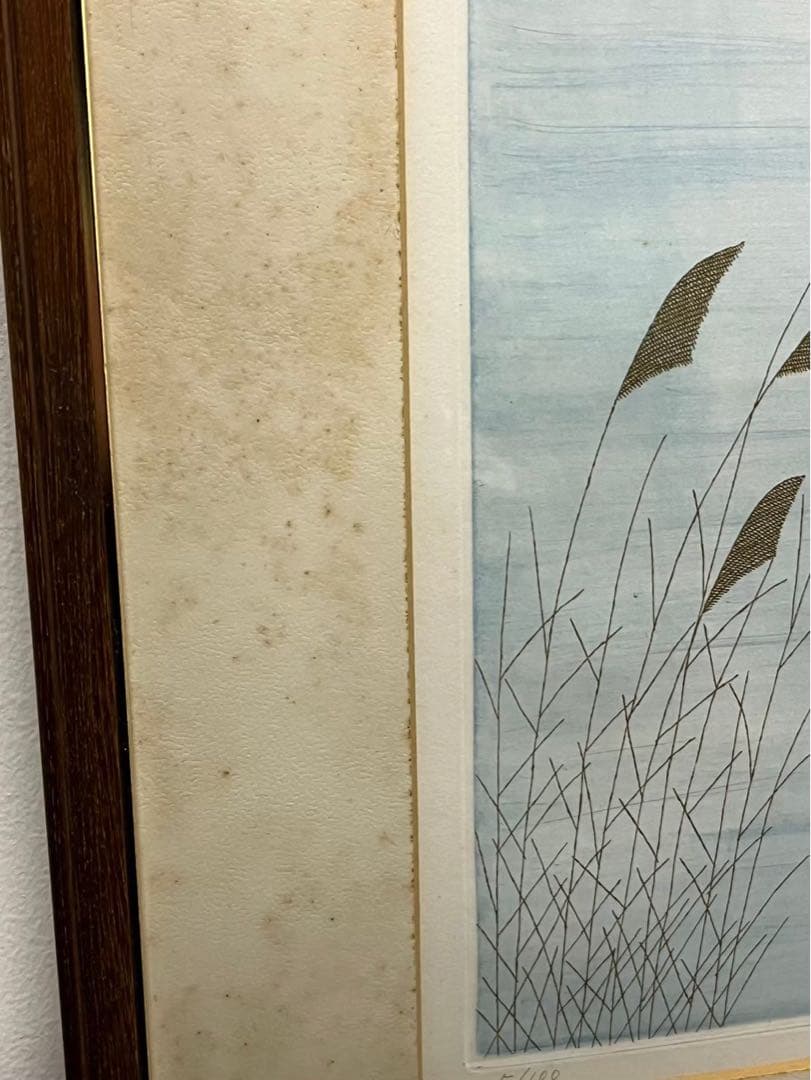 南桂子「少女と馬」カラーエッチング 5/100 額装済 銅 版画 作家 女性